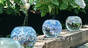 2025年最新情報！般若寺のアジサイガラスボール 見どころ・期間・アクセス完全ガイド