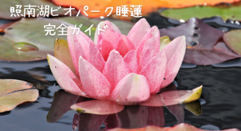 【照南湖ビオパーク睡蓮】モネの世界を福島で！見頃やアクセス、楽しみ方完全ガイド