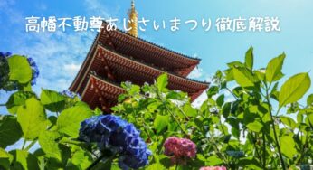 【2025年版】高幡不動尊あじさいまつり完全ガイド！見頃・アクセス・混雑回避法まで徹底解説