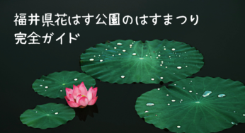 【2025年最新】福井県花はす公園「はすまつり」完全ガイド｜見どころ・アクセス・混雑状況も
