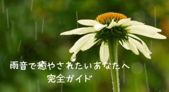 雨音で癒やされたいあなたへ：最適な雨音体験を見つけるための完全ガイド