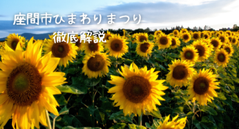 【2025年最新】座間市ひまわりまつり🌻完全ガイド：見頃やアクセス、混雑状況も徹底解説！