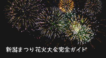 【2025年版】新潟まつり花火大会を120%楽しむ完全ガイド！穴場スポットや交通情報徹底解説