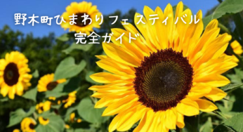 野木町ひまわりフェスティバル2025完全ガイド：見どころ、アクセス、混雑状況徹底解説