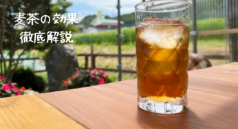 麦茶の効果を徹底解説！夏バテ知らずの体を作る秘訣とは？