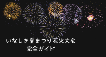 2025年 いなしき夏まつり花火大会 完全ガイド：あなたの疑問を解決します！