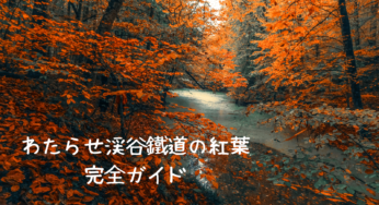 【2025年最新版】わたらせ渓谷鐵道の紅葉 完全ガイド：絶景スポット＆楽しみ方