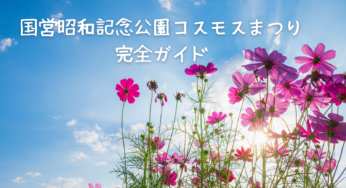 【2024年版】国営昭和記念公園「コスモスまつり」完全攻略ガイド：アクセス、見どころ徹底解説