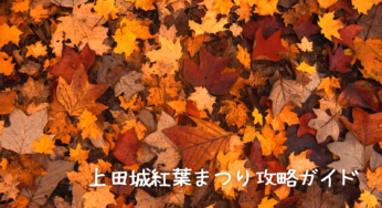 【保存版】上田城紅葉まつり2024完全攻略ガイド！見どころ・アクセス・グルメ情報まで