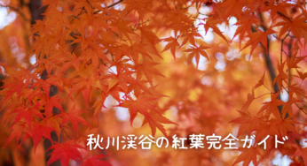 秋川渓谷の紅葉を満喫するための完全ガイド【2025年版】