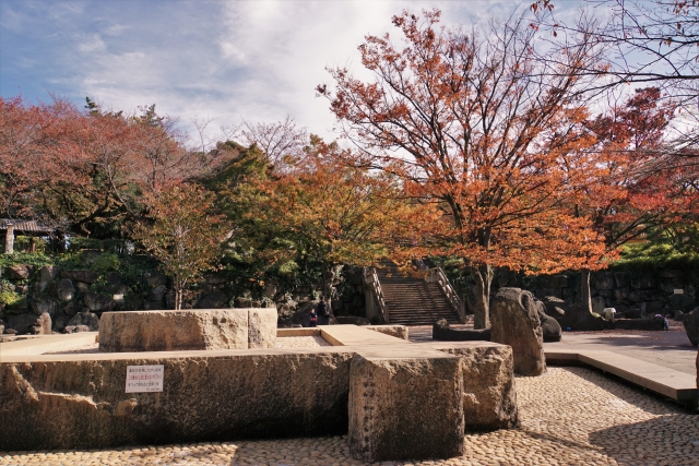 飛鳥山公園ピクニック