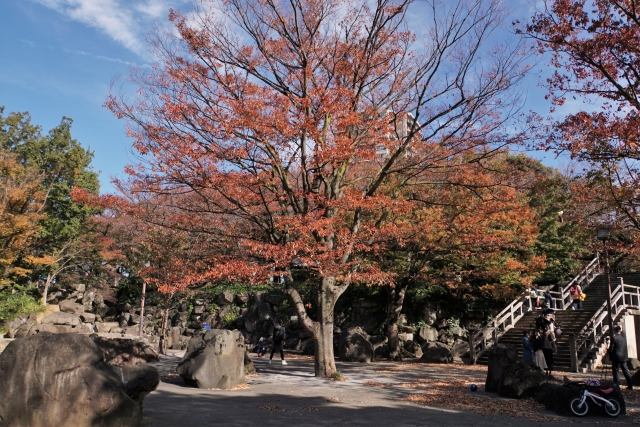 飛鳥山公園の紅葉