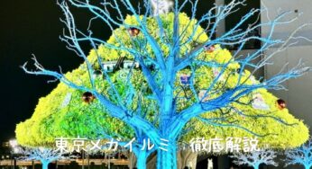 【2024最新版】東京メガイルミ完全ガイド！見どころ・アクセス・周辺スポットまで徹底解説