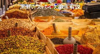 【黒瀬のスパイス】って実際どうなの？口コミや使い方を徹底解説！
