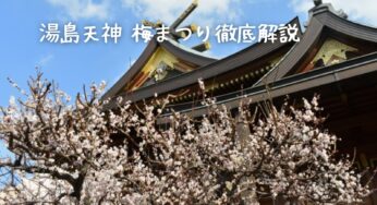 【2025年最新版】第68回 湯島天神 梅まつりを楽しむための完全ガイド