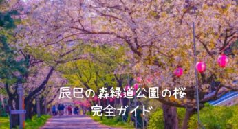 【２０２５年版】辰巳の森緑道公園の桜完全ガイド｜見どころ、アクセス、周辺情報も