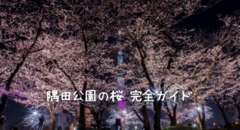隅田公園の桜2025完全ガイド！お花見情報から穴場スポットまで