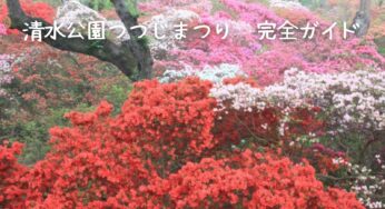 清水公園つつじまつり2025完全ガイド！見どころからアクセス、周辺情報まで