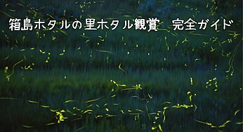 【箱島ホタルの里】群馬で幻想的な光に包まれる夏の夜の絶景を完全ガイド