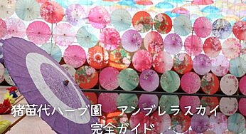 【2025年最新】猪苗代ハーブ園アンブレラスカイ完全ガイド！期間はいつまで？徹底解説