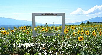 【2025年最新】北杜市明野サンフラワーフェス完全ガイド：見どころ、穴場スポットまで徹底解説