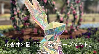 小金井公園「花と光のムーブメント」！見どころ・アクセス・限定スイーツまで徹底解説